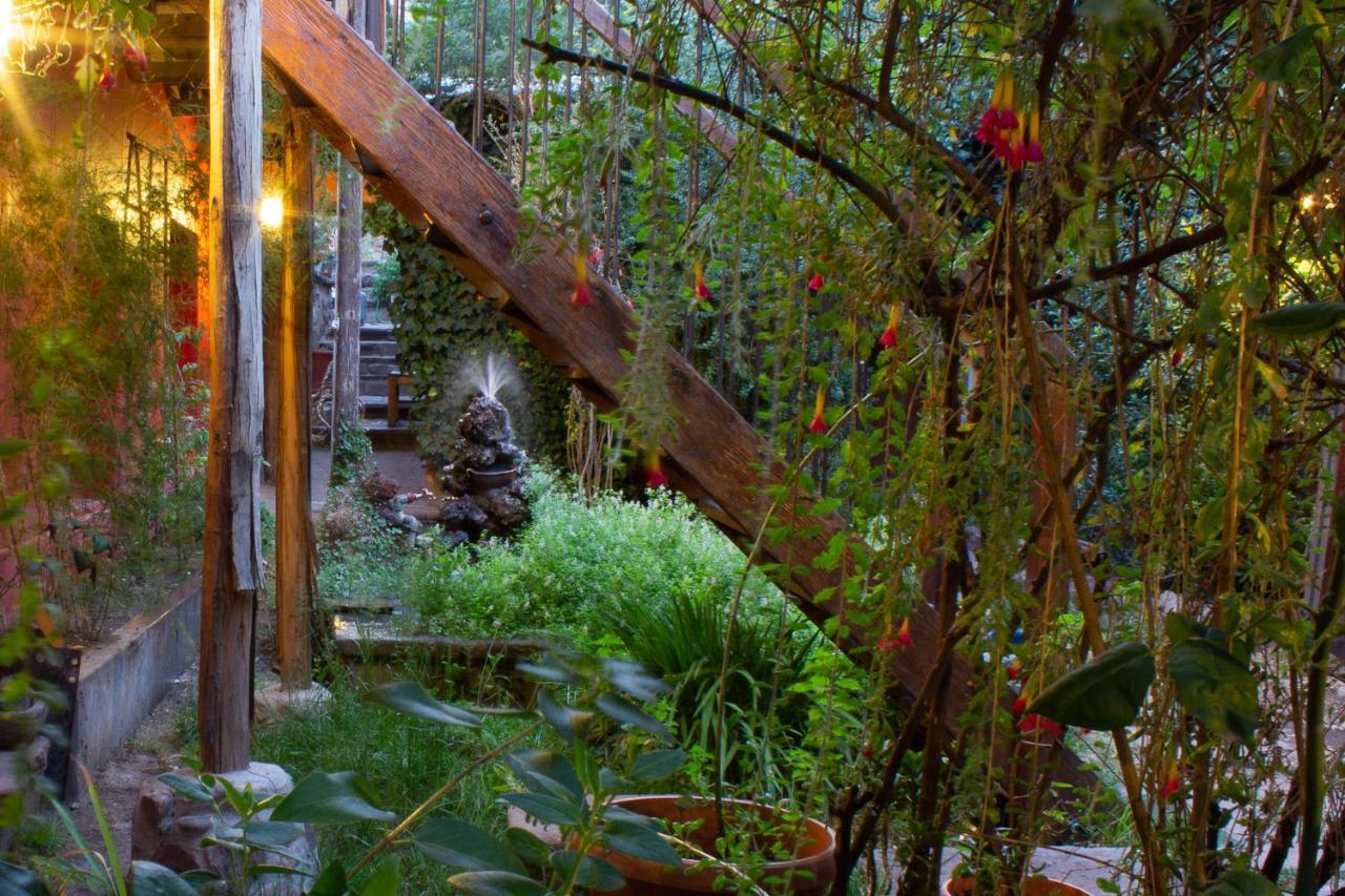 普诺Casa Panqarani住宿加早餐旅馆 外观 照片